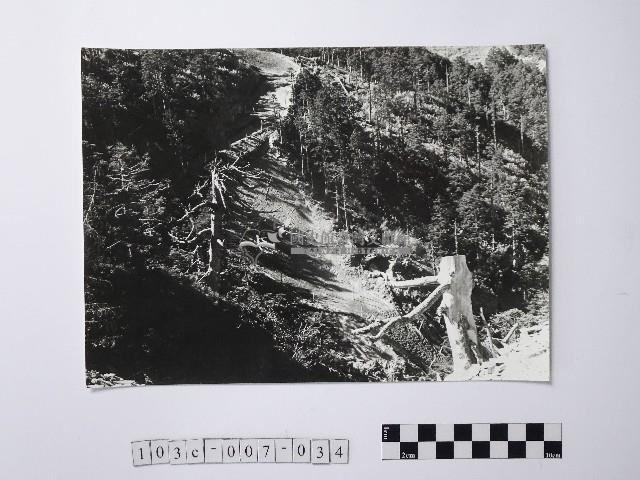 黃則修攝原始林之夢魘藏品圖，第1張