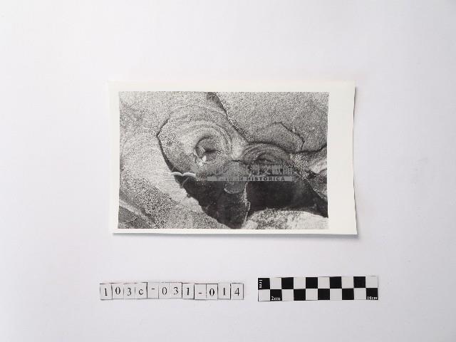 黃則修攝野柳地景ET留像藏品圖，第1張