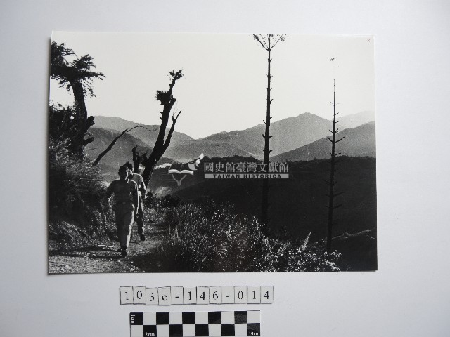 兩人藏品圖，第1張