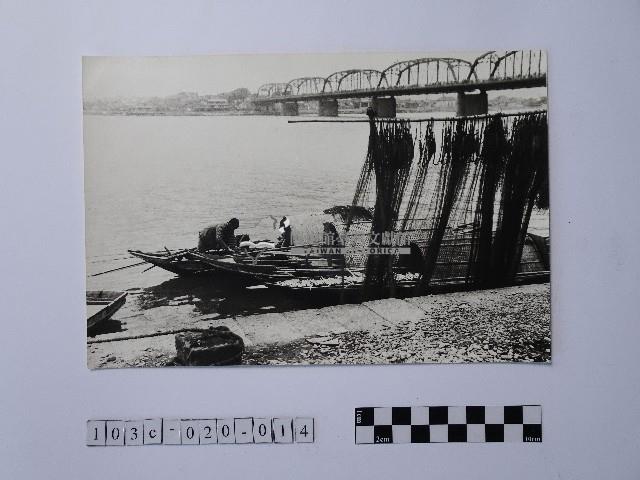 黃則修攝晒網藏品圖，第1張