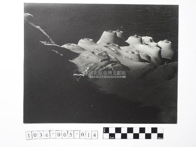 黃則修攝野柳地景燭臺石藏品圖，第1張