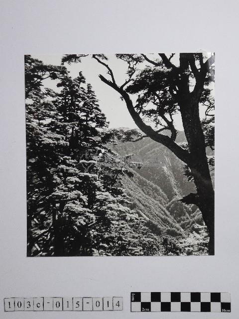 黃則修攝高山風情藏品圖，第1張