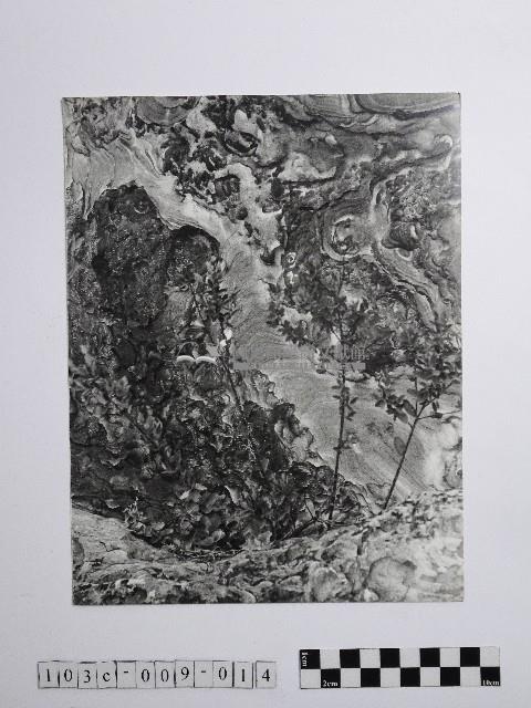 黃則修攝野柳地景藏品圖，第1張