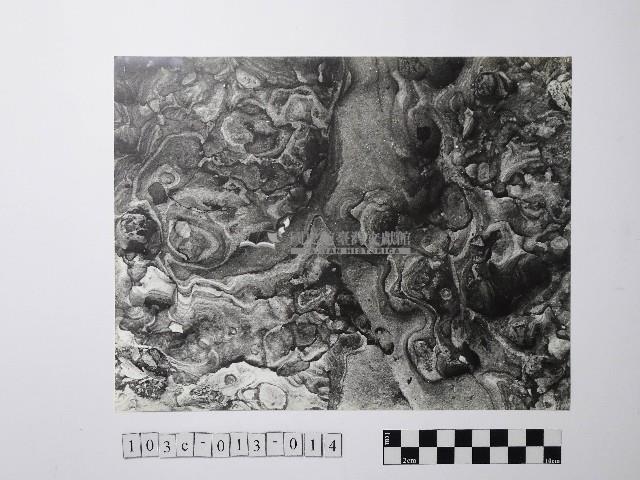 黃則修攝野柳地景風化紋藏品圖，第1張