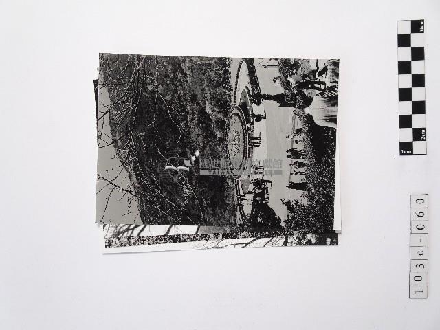 黃則修攝陽明山系列照片藏品圖，第1張