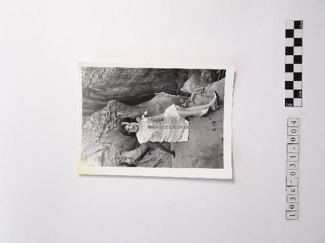 黃則修攝野柳的稀客－凌波藏品圖，第1張