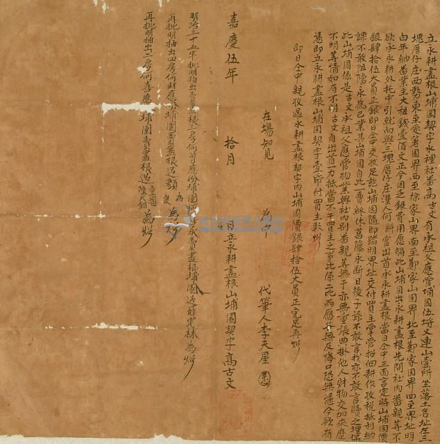 嘉慶五年高古文立永耕盡根山埔園契字藏品圖，第1張