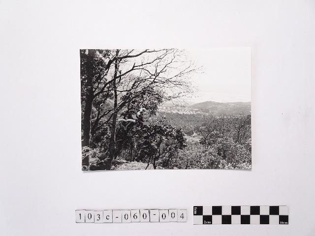 黃則修攝陽明山風景2藏品圖，第1張