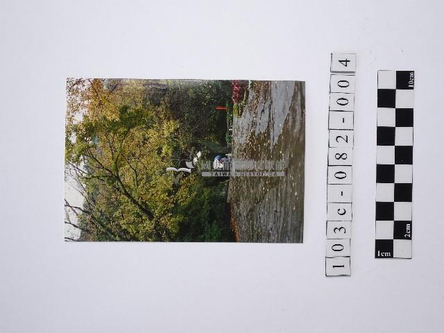 黃則修攝雨中漫步藏品圖，第1張