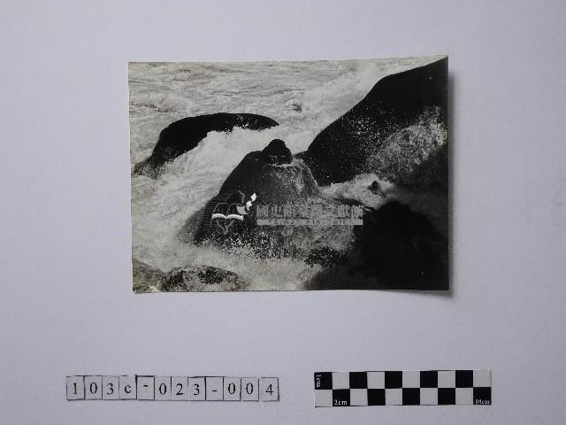 黃則修攝野柳地景燭臺石藏品圖，第1張