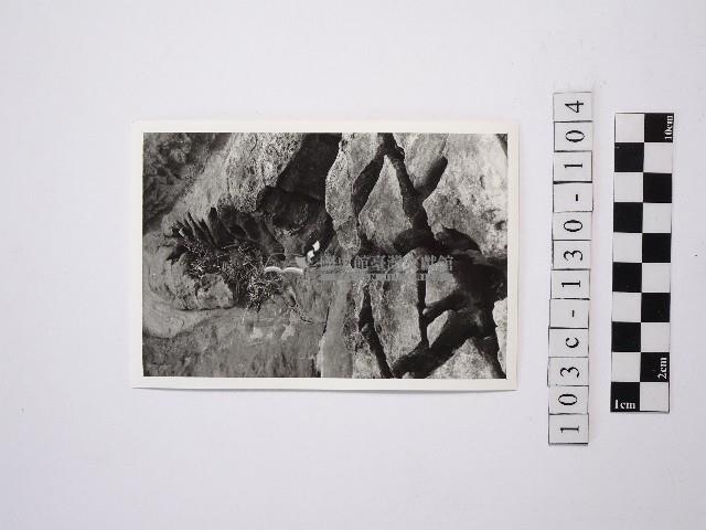 黃則修攝野柳地景藏品圖，第1張