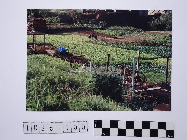 黃則修攝田園藏品圖，第1張