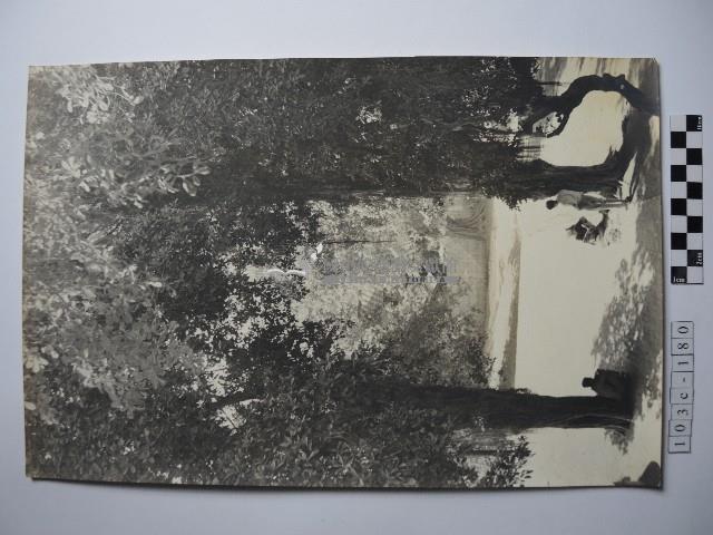 樹下三人藏品圖，第1張