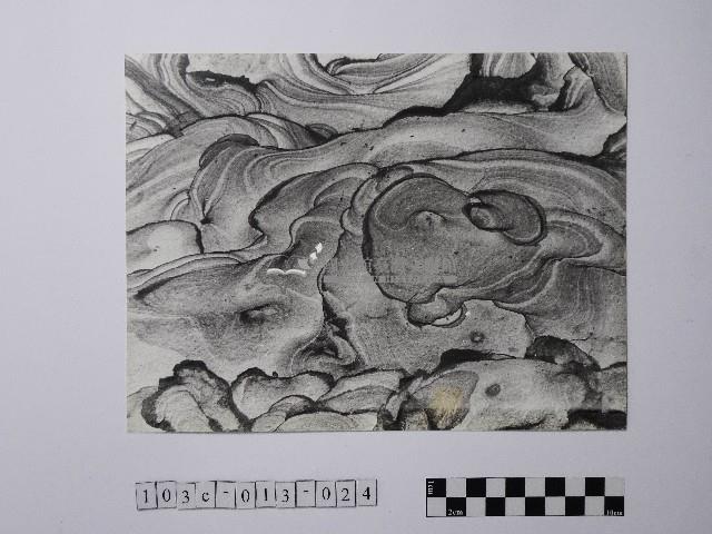 黃則修攝野柳地景風化紋藏品圖，第1張