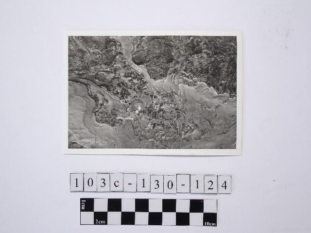 野柳地形藏品圖，第1張