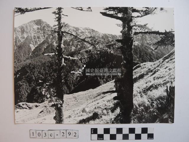 高山風情藏品圖，第1張