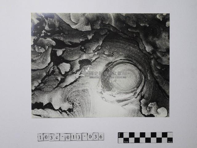 黃則修攝野柳地景藏品圖，第1張