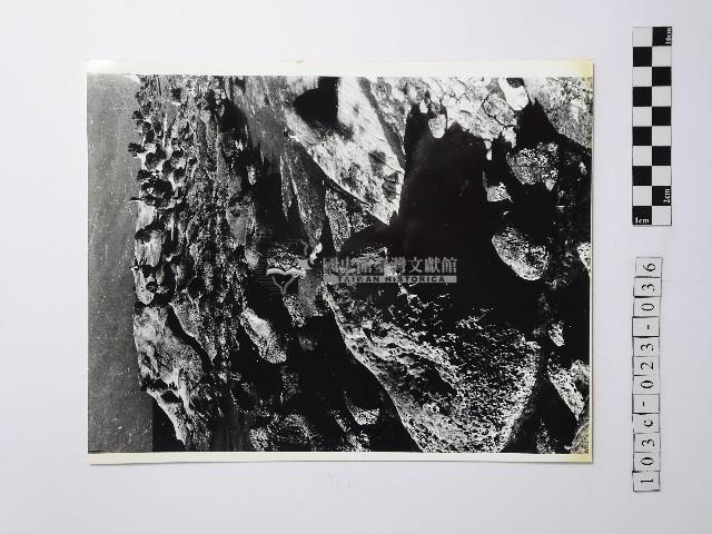黃則修攝野柳地景藏品圖，第1張