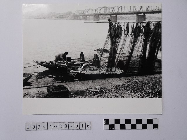 黃則修攝晒網藏品圖，第1張