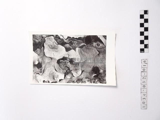 黃則修攝野柳地景藏品圖，第1張