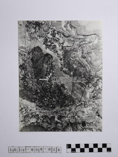 黃則修攝野柳地景藏品圖，第1張