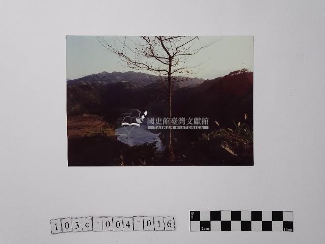 黃則修攝黃櫸皮寮潭藏品圖，第1張