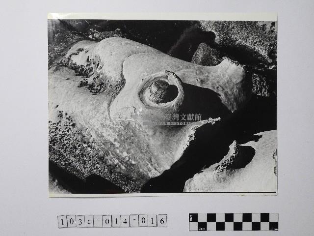 黃則修攝野柳地景藏品圖，第1張