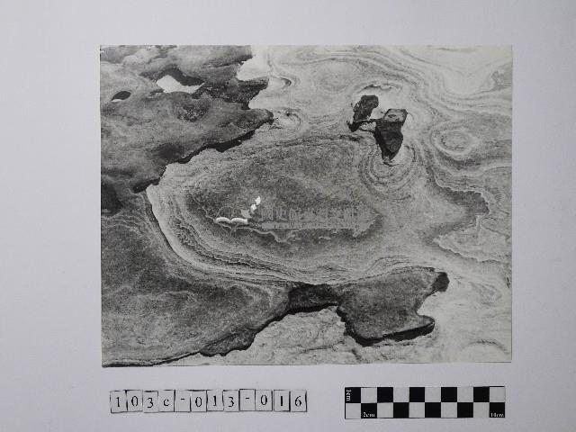 黃則修攝野柳地景風化紋藏品圖，第1張