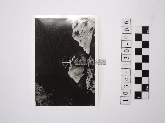 黃則修攝野柳地景燭臺石藏品圖，第1張