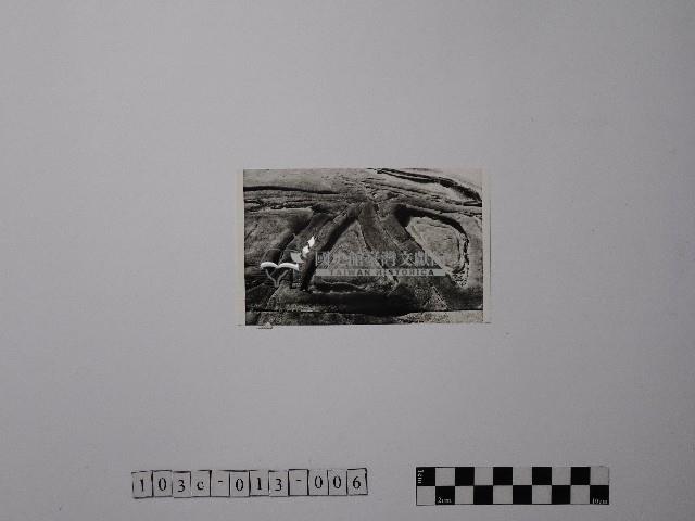 黃則修攝野柳地景藏品圖，第1張