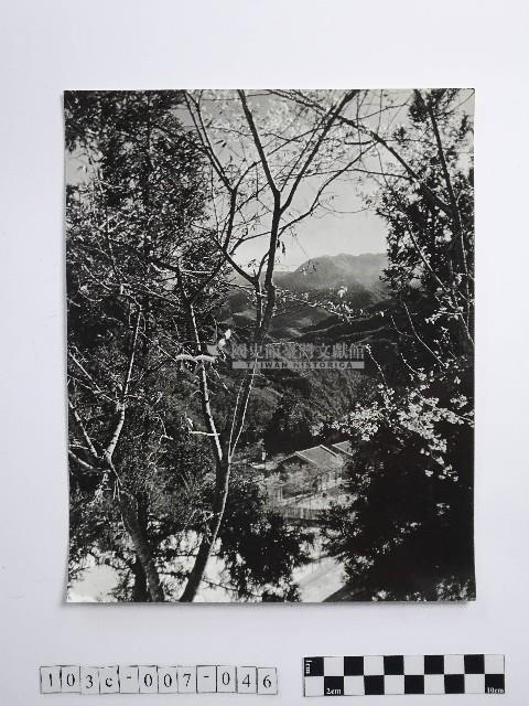 黃則修攝霧社之春藏品圖，第1張