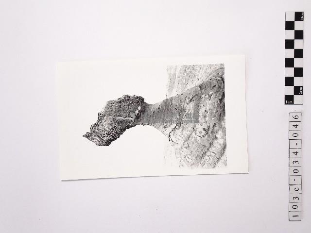 黃則修攝野柳地景女王頭藏品圖，第1張