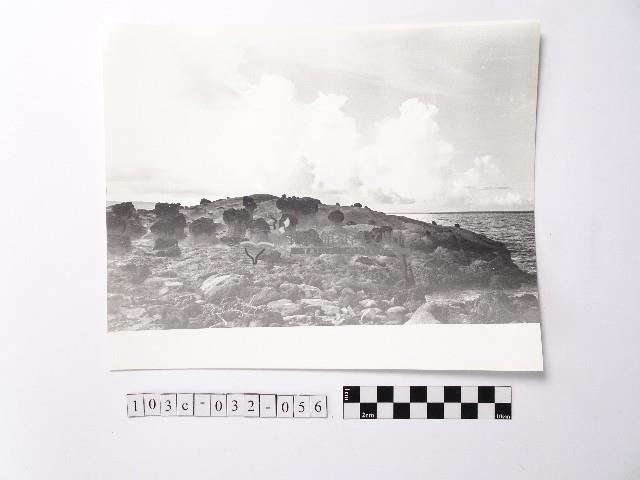 黃則修攝野柳地景藏品圖，第1張