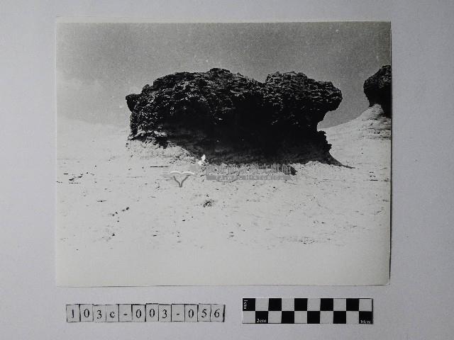 黃則修攝野柳地景蜂窩岩藏品圖，第1張