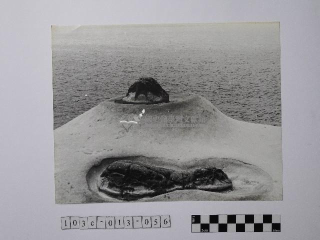 黃則修攝野柳地景藏品圖，第1張