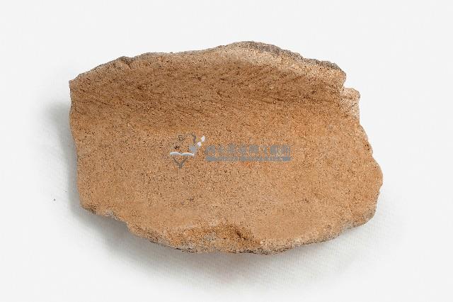 紅褐色夾砂罐型陶器頸部殘片藏品圖，第1張