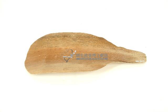 阿美族檳榔扇藏品圖，第1張