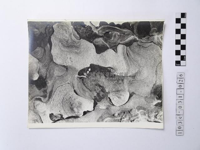 黃則修攝野柳地景藏品圖，第1張