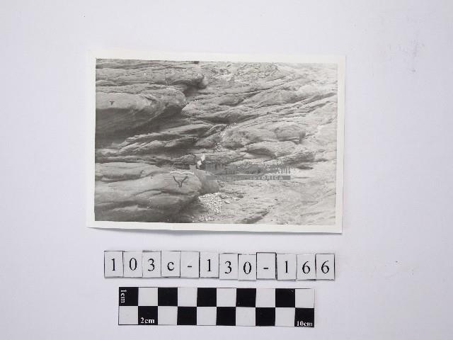 野柳地形藏品圖，第1張