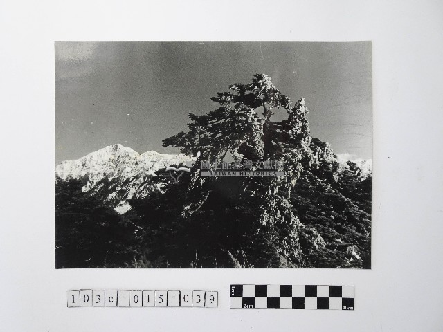 黃則修攝高山風情藏品圖，第1張
