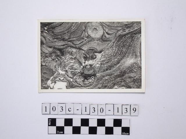 野柳地形藏品圖，第1張