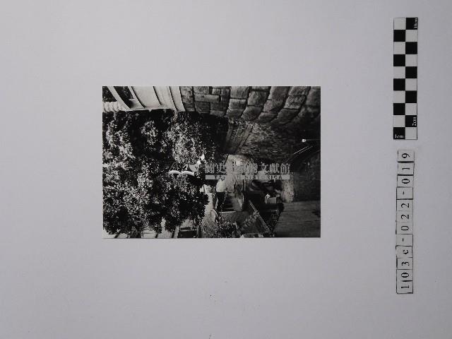 黃則修攝一路向下的小徑藏品圖，第1張