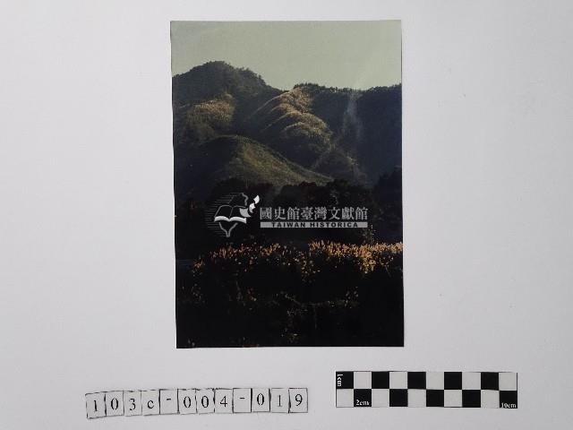 黃則修攝坪林尾山藏品圖，第1張