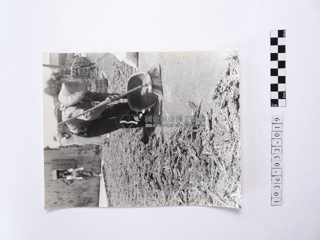 黃則修攝戴著斗笠的婦人藏品圖，第1張