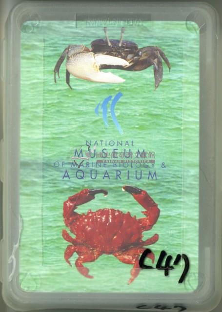 國立海洋生物博物館螃蟹撲克牌藏品圖，第1張