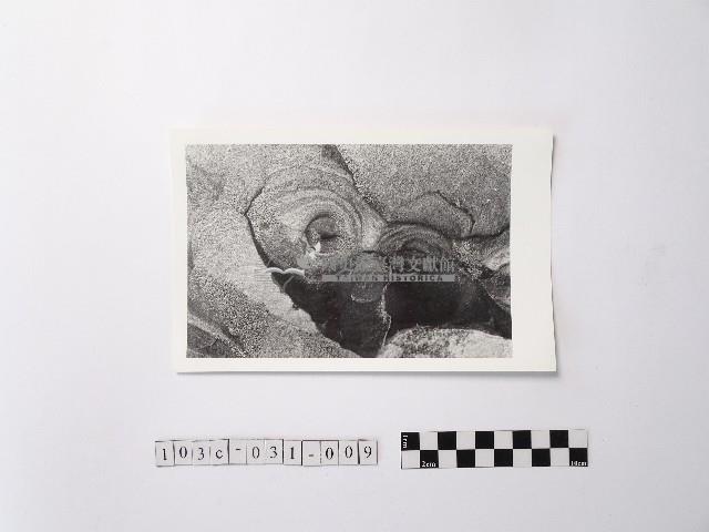 黃則修攝野柳地景ET留像藏品圖，第1張