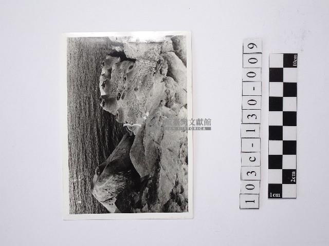 黃則修攝野柳地景燭臺石藏品圖，第1張
