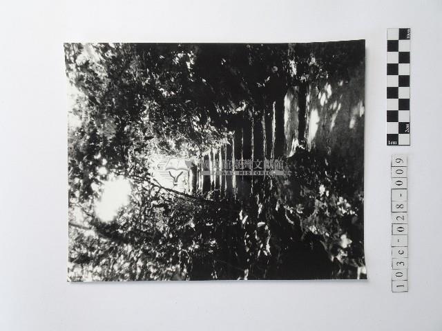 黃則修攝階梯藏品圖，第1張