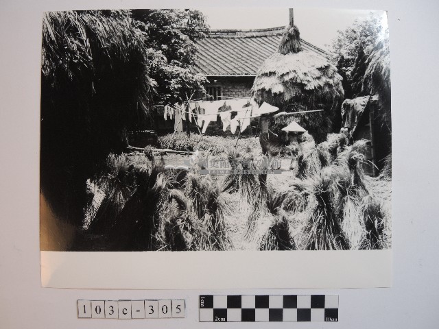 收割後的農莊藏品圖，第1張
