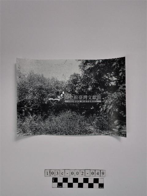 黃則修攝人頭櫃照片藏品圖，第1張